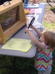 The club's observation hive and bees were a big hit with young and old alike.