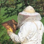 beekeeperheadshot